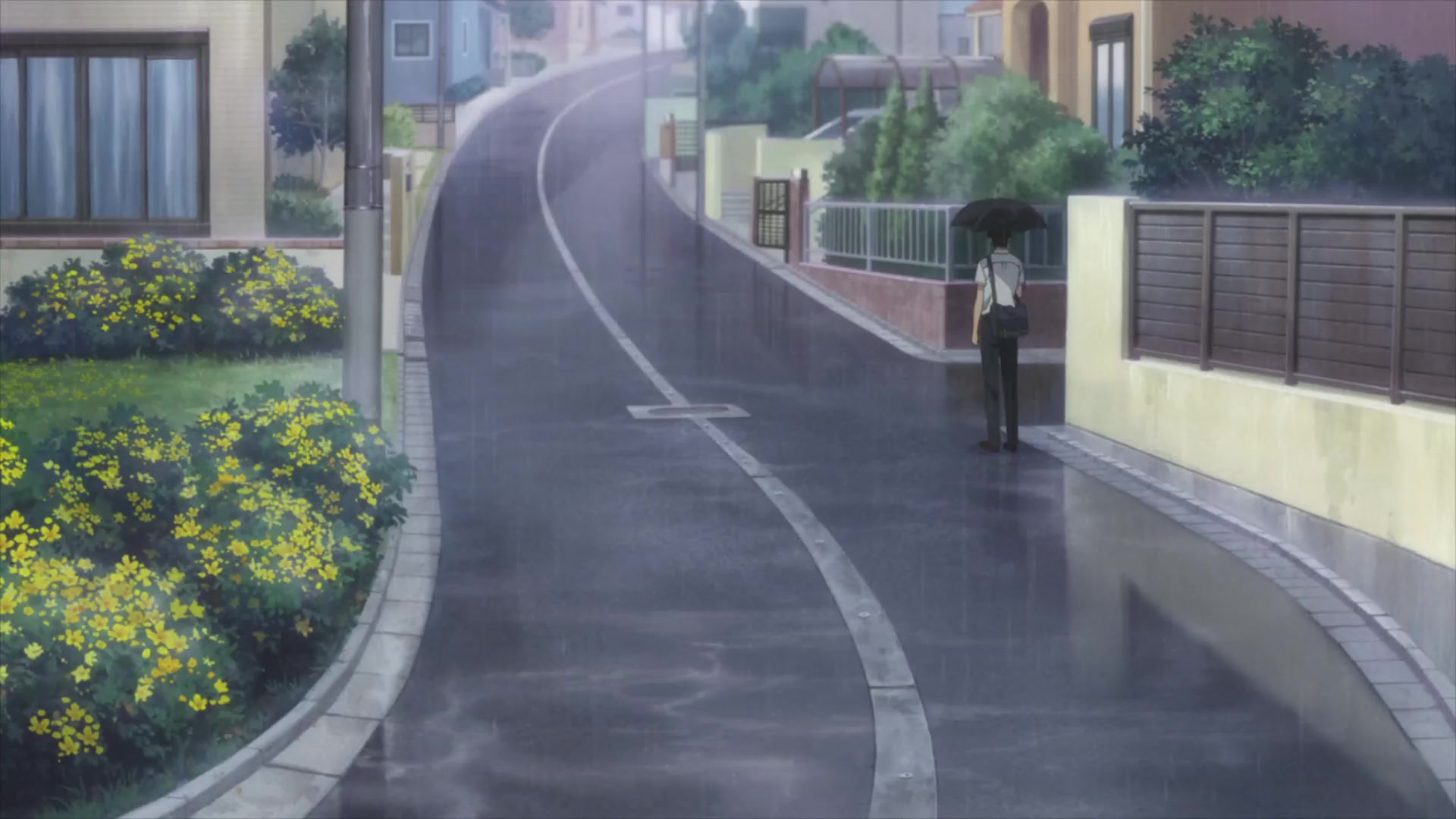 [Tsukyio Editing Resources] I Want to Eat Your Pancreas Raw Clips (895) (tsukyio.com).mp4